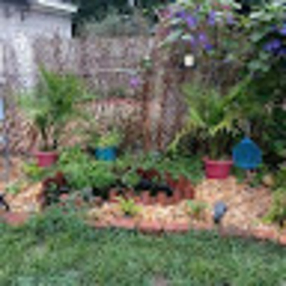 Meet your Posher, Sabrina - Picture 1 of 1